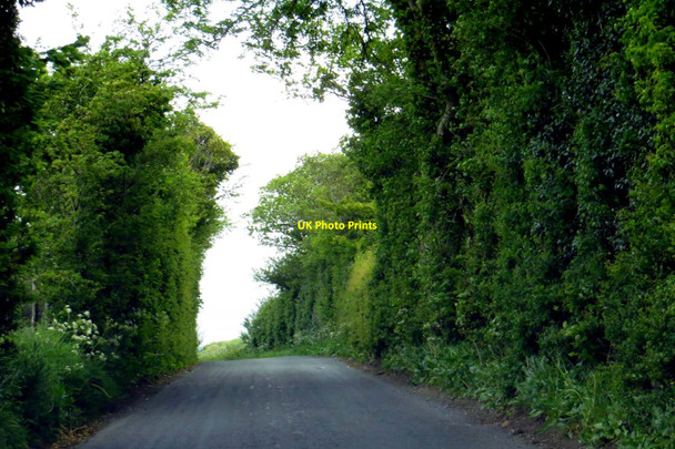 Photo 6"x4" The road to Wigglesworth Grunsagill c2015