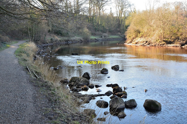 Photo 6"x4" River Coquet, Warkworth Warkworth\/NU2406 c2016