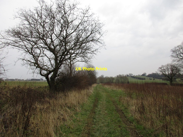 Photo 6"x4" Track off Hellaby Lane Maltby\/SK5292 c2016