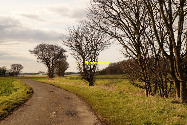 Photo 6"x4" Green Lane, Sollom Sollom c2016