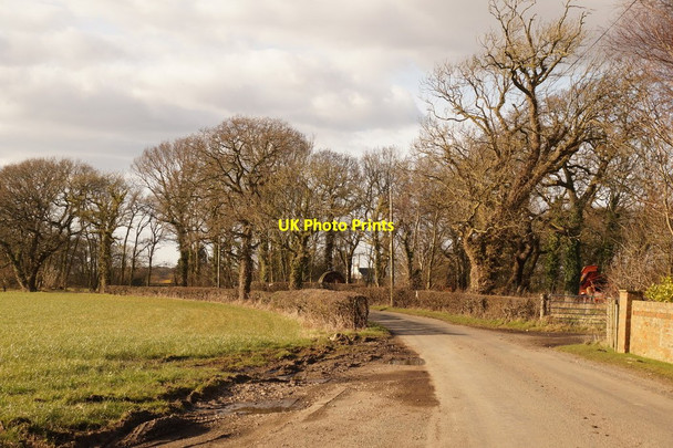 Photo 6"x4" Moss Side Lane, Mere Brow Mere Brow c2016