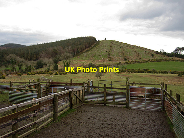 Photo 6"x4" Sheep Pen and Hill Kilmacthomas c2016