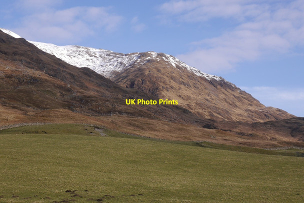 Photo 6"x4" Field, Castles Lochawe c2016