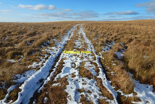 Photo 6"x4" Track near Square Wood Dumbarton c2016