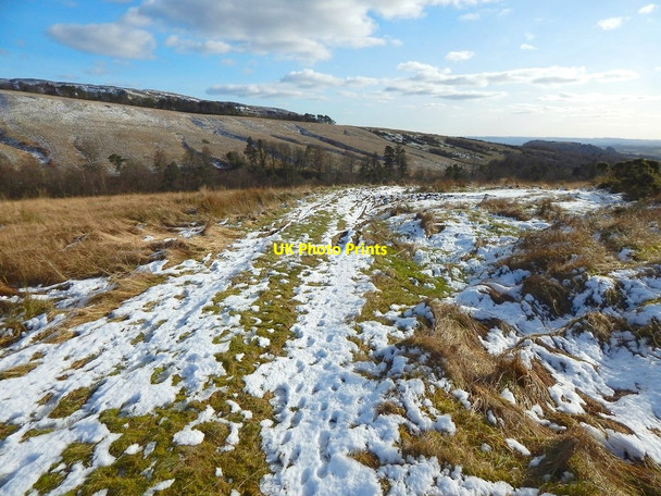 Photo 6"x4" Track near Square Wood Dumbarton c2016