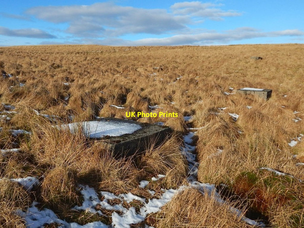 Photo 6"x4" Auchenreoch Starfish Decoy Dumbarton c2016