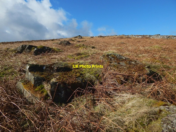 Photo 6"x4" Slopes of Carman Hill Alexandria c2016