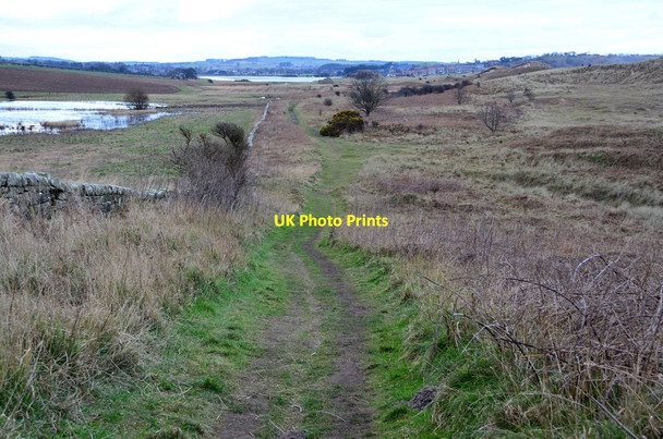 Photo 6"x4" Coast path at Buston Links High Buston c2016