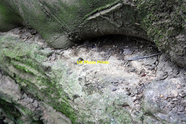 Photo 6"x4" Benchmark on Akeman Street culvert Combe\/SP4115 c2016
