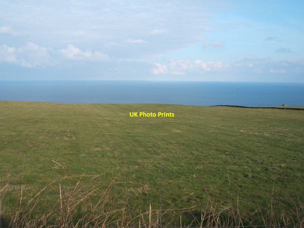 Photo 6"x4" Coastal grazing  Ravenscar c2016
