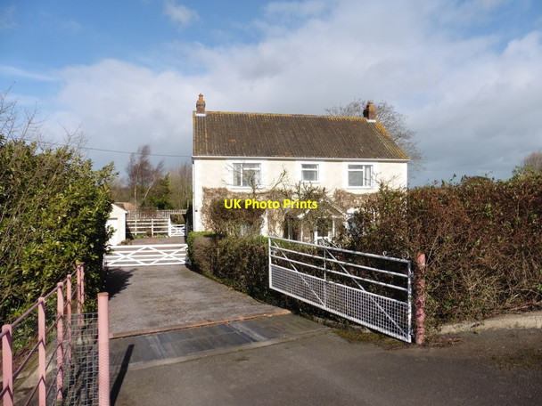 Photo 6"x4" House on Cuts Road East Lyng c2016