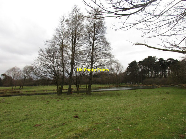 Photo 6"x4" Deer Park and lake, Normanby Park Normanby\/SE8816 c2016