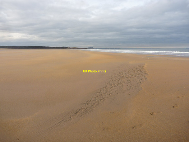 Photo 6"x4" Coastal East Lothian : Belhaven Sands West Barns c2016