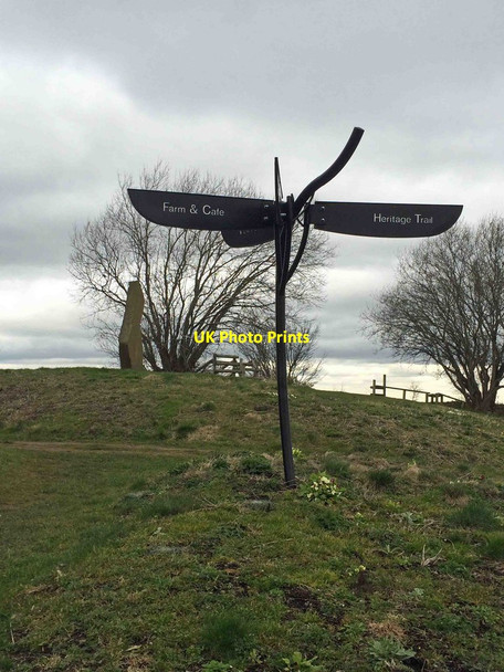 Photo 6"x4" To the viewpoint Sheffield Manor Sheffield\/SK3587 c2016