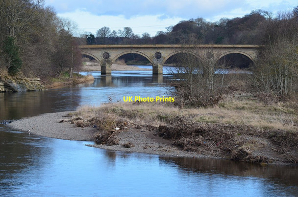 Photo 6"x4" Coldstream Bridge and the Tweed Coldstream\/NT8439 c2016