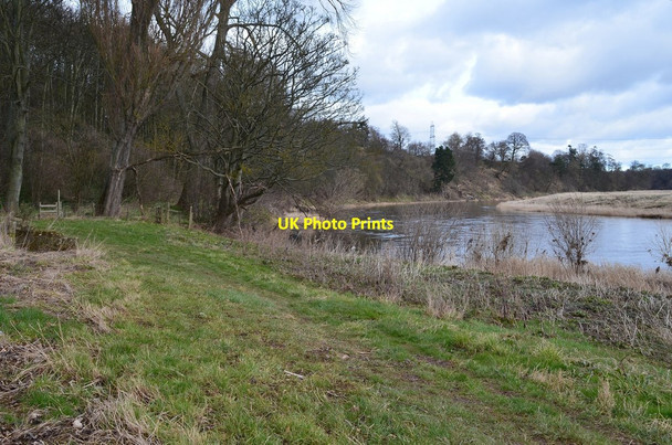Photo 6"x4" Riverside path near Lennel Coldstream\/NT8439 c2016