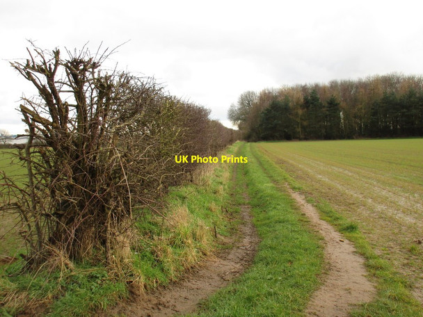 Photo 6"x4" Track to Atkinson's Holt Flixborough c2016