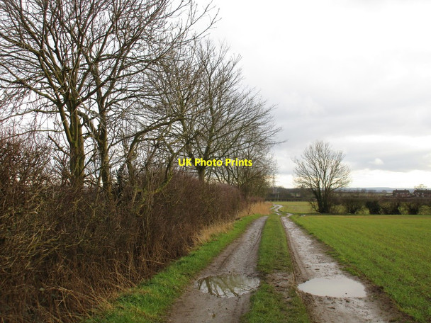 Photo 6"x4" Footpath to Flixborough Flixborough c2016