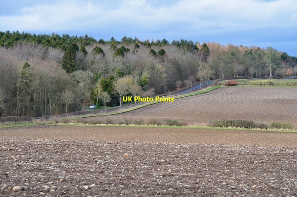 Photo 6"x4" Farmland and Kincham Wood Coldstream\/NT8439 c2016