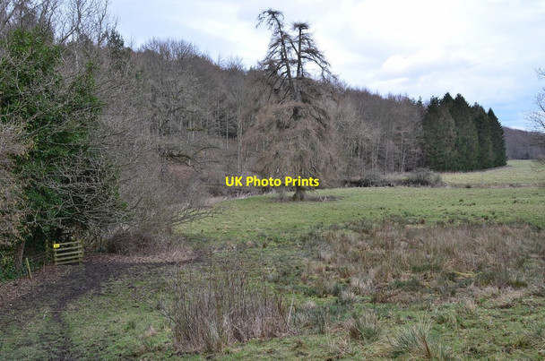 Photo 6"x4" The Leet Water in the Hirsel estate Birgham c2016