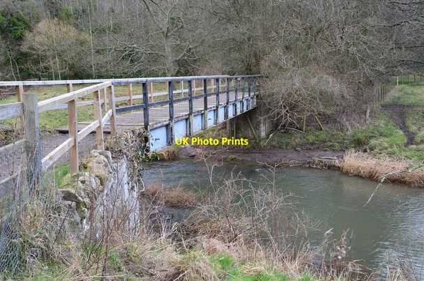 Photo 6"x4" Footbridge near The Hirsel Coldstream\/NT8439 c2016