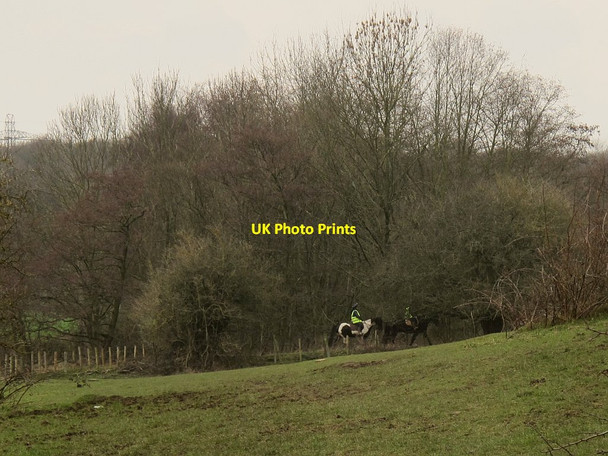 Photo 6"x4" Horses on a bridleway Pudsey\/SE2233 c2016