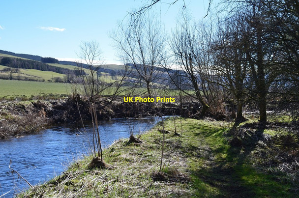Photo 6"x4" Path around Kidston Mill Mailingsland c2016