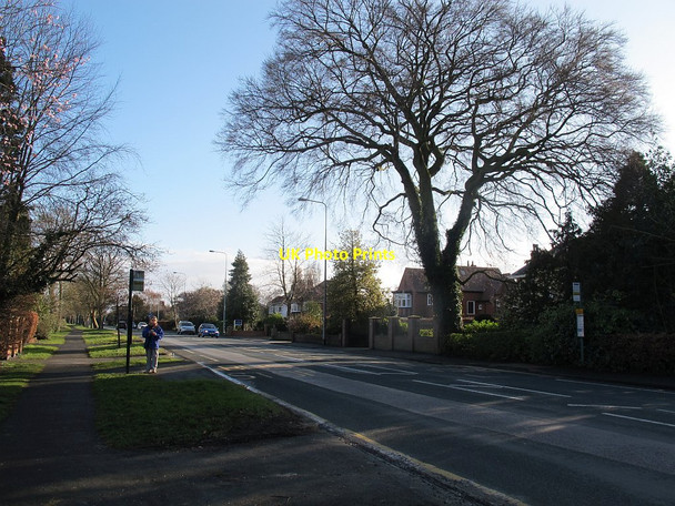 Photo 6"x4" Bus stops on Hull Road, Cottingham Cottingham\/TA0432 c2016
