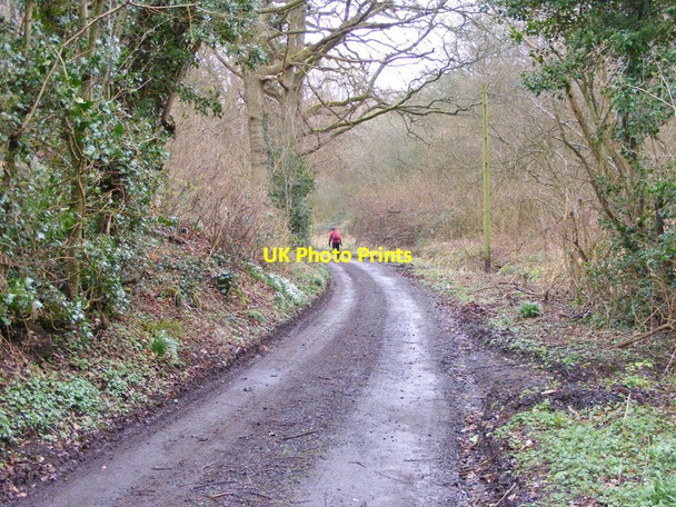 Photo 6"x4" Rindleford Path Bridgnorth c2016