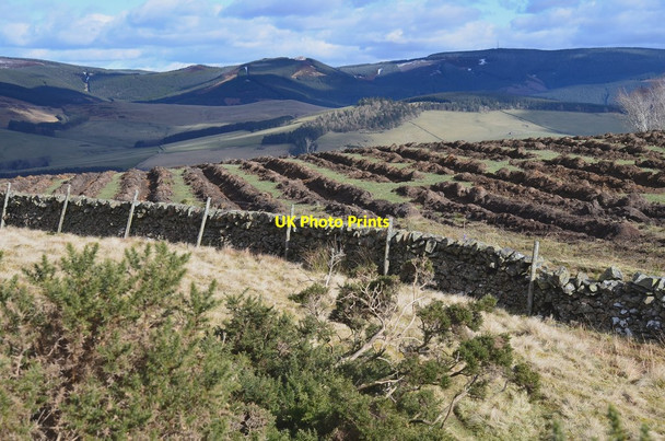 Photo 6"x4" Ploughed moorland, Jedderfield Peebles\/NT2540 c2016