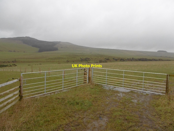 Photo 6"x4" Two gates, Effledge Whitriggs\/NT5615 c2016