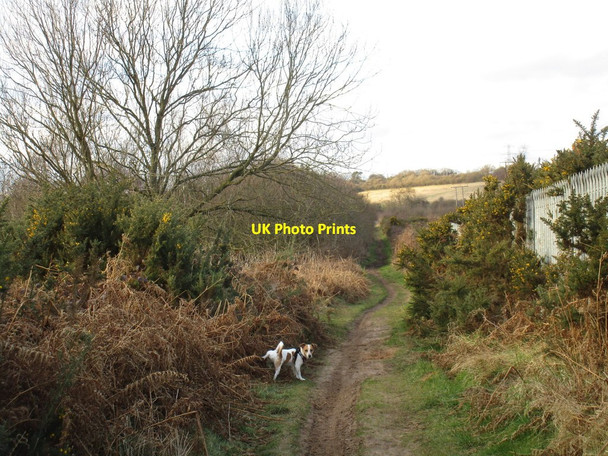 Photo 6"x4" Not when I'm taking a photograph! Flixborough Stather c2016