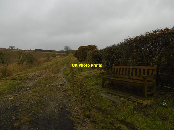 Photo 6"x4" Road to Denholm Quarry Denholm\/NT5618 c2016