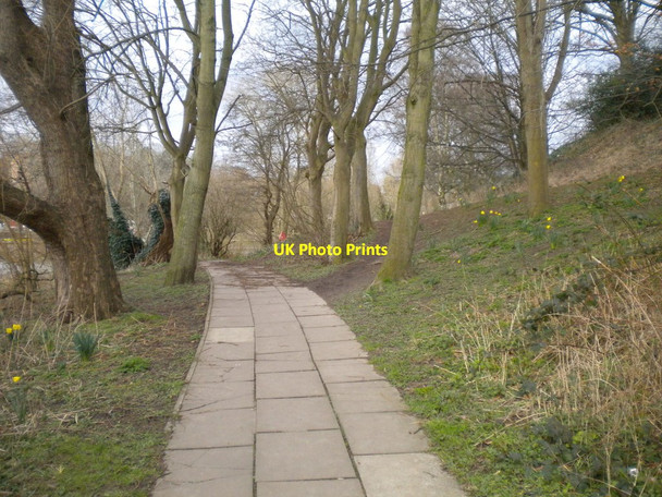 Photo 6"x4" Footpath along the River Dee, Chester (2) Chester c2016