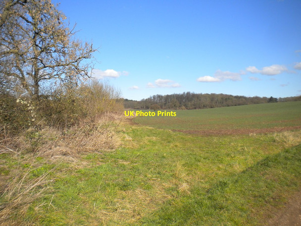 Photo 6"x4" Field east of West Leake West Leake c2016