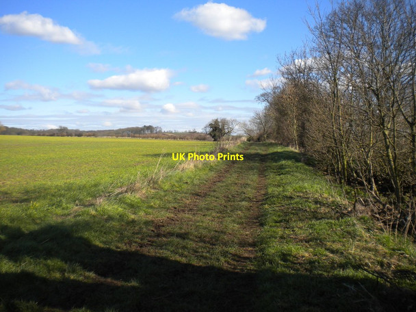 Photo 6"x4" Public footpath north of West Leake West Leake c2016