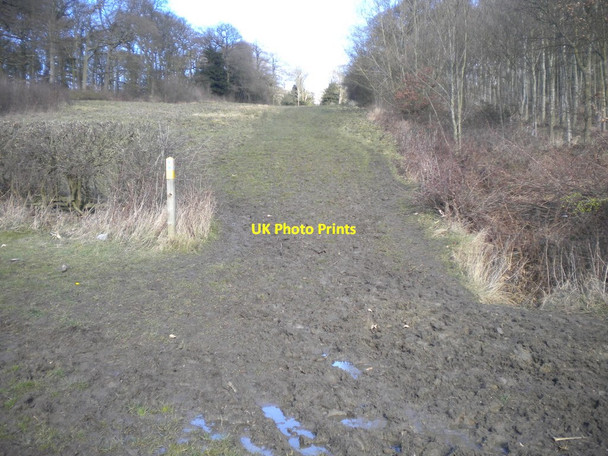Photo 6"x4" Muddy bridleway over West Leake Hills West Leake c2016