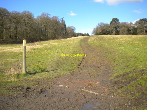 Photo 6"x4" Bridleway past Crownend Wood (1) New Kingston c2016