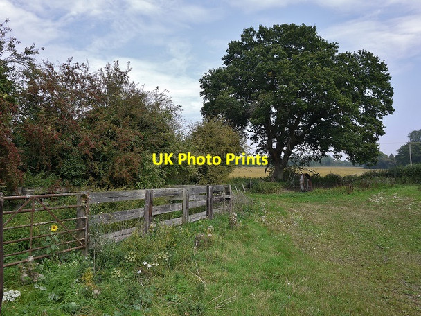 Photo 6"x4" Rural Cheriton 1 Cheriton\/SU5828 c2014