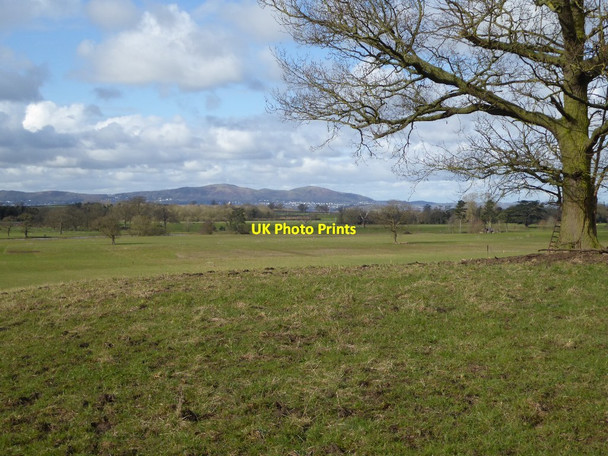 Photo 6"x4" View across Croome Park Dunstall Common c2016