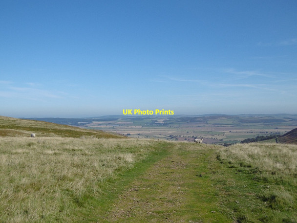 Photo 6"x4" Hill road above Akeld Akeld c2015