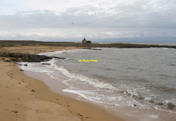 Photo 6"x4" The Wild Shore Boarhills c2014