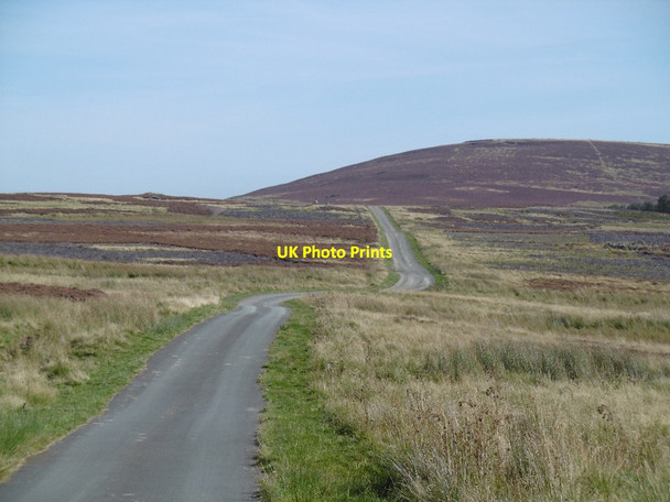Photo 6"x4" Road out of Commonburn Akeld c2015