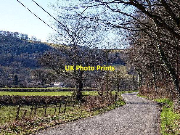 Photo 6"x4" The lane through Cwm Rheidol Nantyronen Station c2016