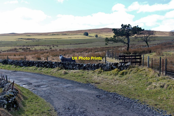 Photo 6"x4" Road to Muirhouse Muirhouse\/NS3168 c2016