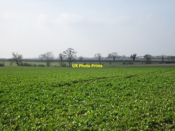 Photo 6"x4" Fields near Catwick Catwick\/TA1345 c2016