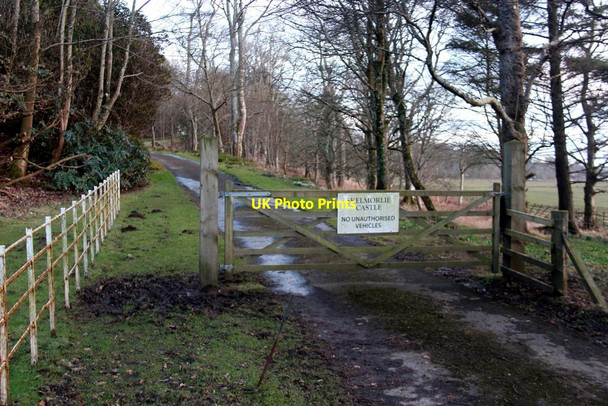 Photo 6"x4" North driveway, Skelmorlie Castle Meigle\/NS1965 c2016