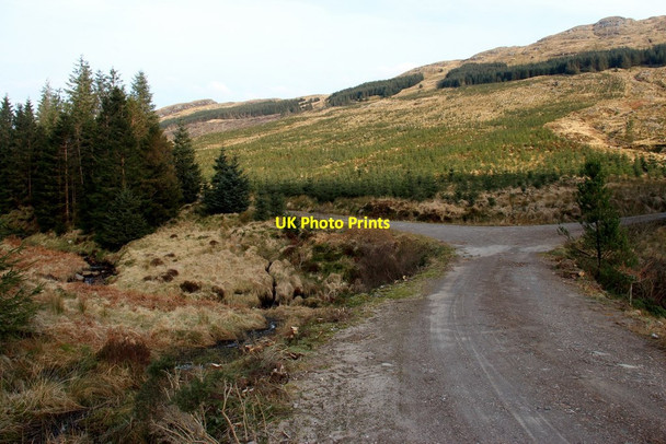 Photo 6"x4" Forest road junction at the Garbh Allt Garbh Allt Beag c2016