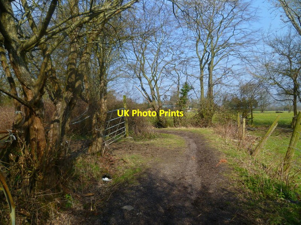 Photo 6"x4" Sharp bend on bridleway Russ Hill c2016