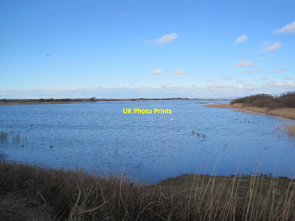 Photo 6"x4" RSPB Marshside Nature Reserve Southport c2016